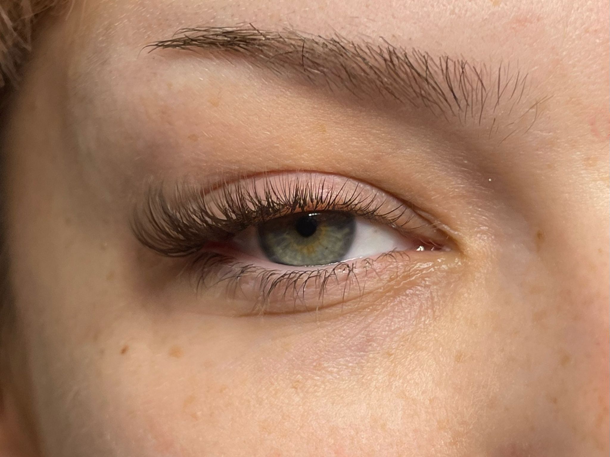 Wimpern nach der Behandlung im Outer-Corner-Stil, Großaufnahme eines Auges